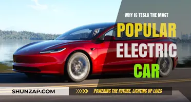 Why Tesla Dominates: The Most Popular Electric Car Explained