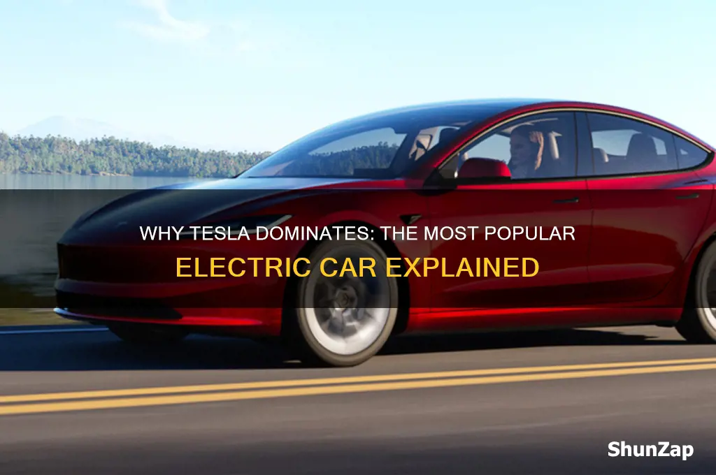 why is tesla the most popular electric car