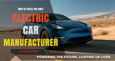Why Tesla Dominates the Electric Car Market Exclusively