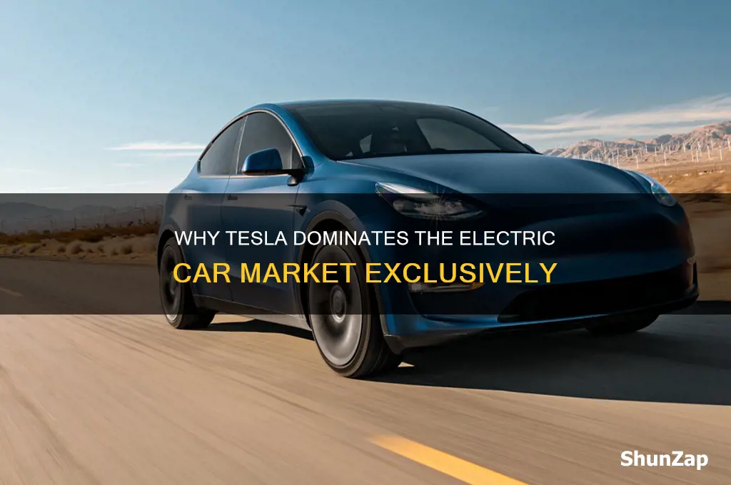 why is tesla the only electric car manufacturer