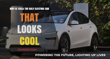 Why Tesla's Sleek Design Dominates Electric Car Aesthetics