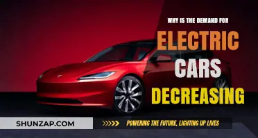 Electric Car Sales Slump: Unraveling the Decline in Demand