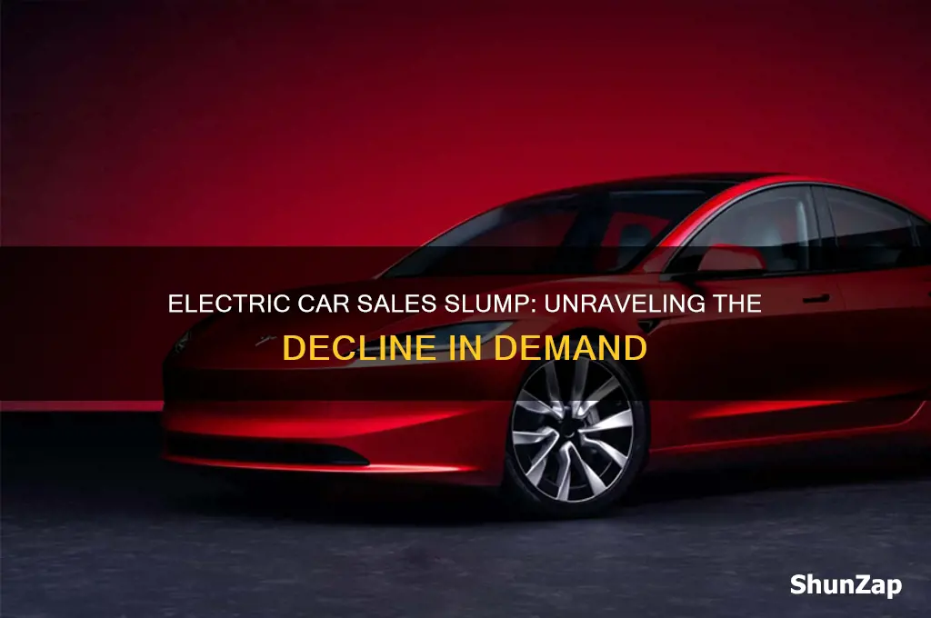 why is the demand for electric cars decreasing