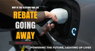 Electric Car Tax Rebate Phase-Out: Reasons and Implications for Buyers