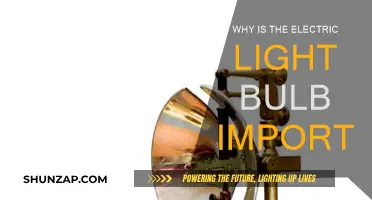 Electric Light Bulb: A Bright Idea that Changed the World