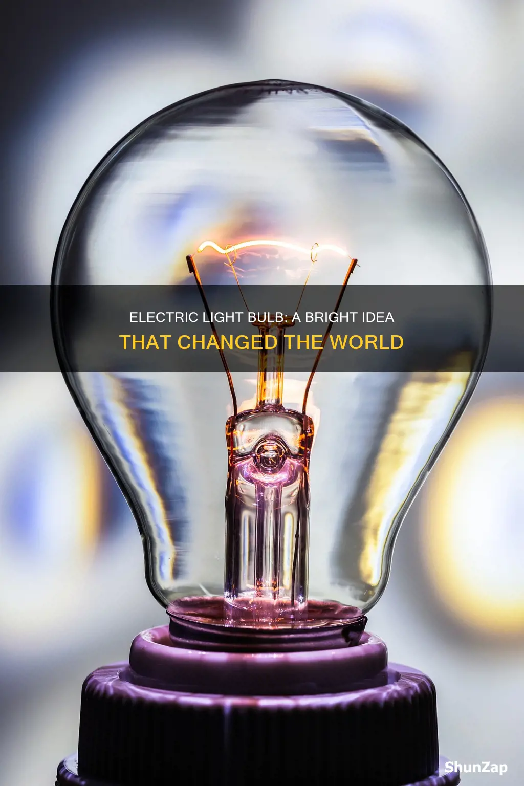 why is the electric light bulb important