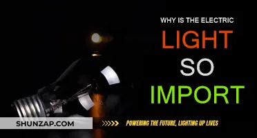 Electric Light: Illuminating Innovations and Advancements