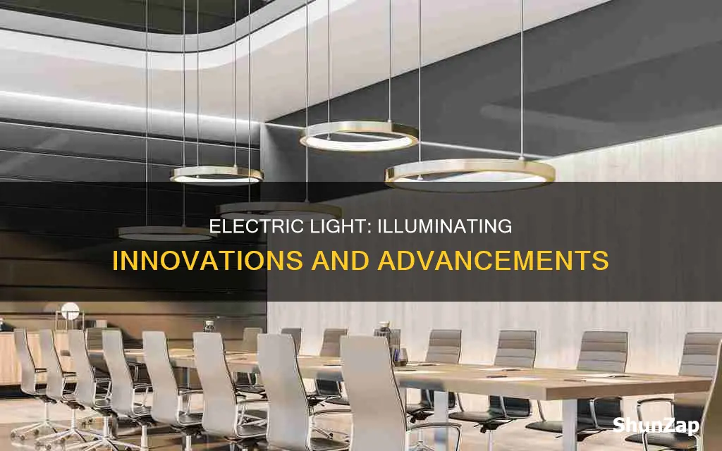 why is the electric light so important