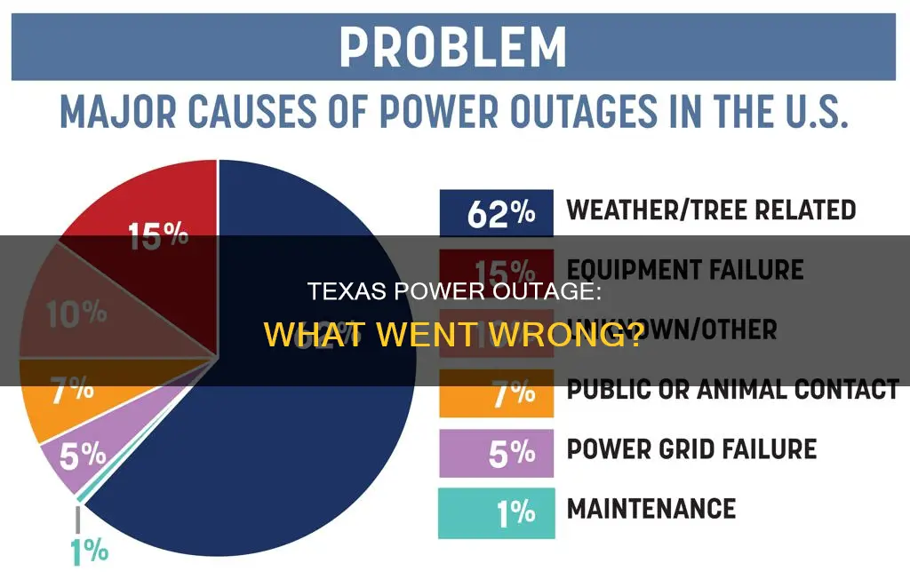 why is the electric out in texas