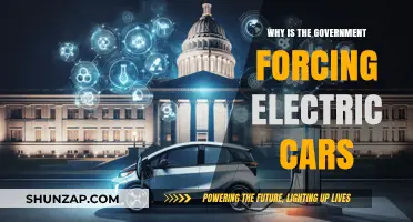 Government's Push for Electric Cars: Environmental Necessity or Overreach?