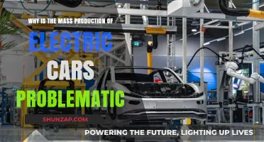 Challenges in Mass Producing Electric Cars: Environmental and Economic Concerns