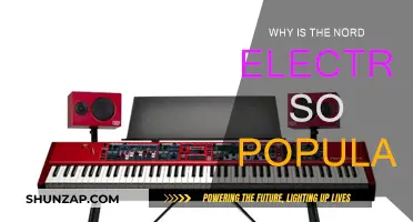 Nord Electro: Why Are Musicians Obsessed?