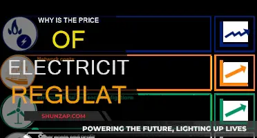 Electricity Pricing: Regulation, Control, and Fairness