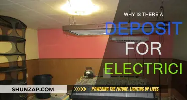 Electricity Deposits: Why Do They Exist?