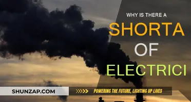 The Power Crisis: Why is Electricity in Short Supply?
