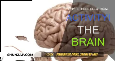 Brain's Electrical Activity: Understanding the Spark of Life