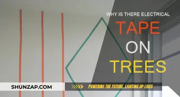 Electrical Tape on Trees: What's the Deal?