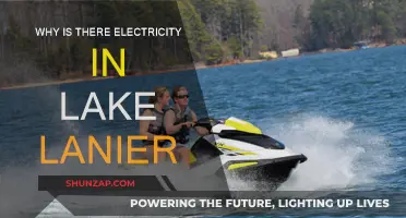 Lanier Lake's Electrifying Mystery: Why the Shock?