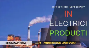 Inefficiency in Electricity Production: The Problem of Power Loss