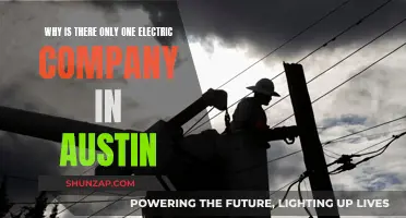 Austin's Lone Electric Company: Why the Monopoly?