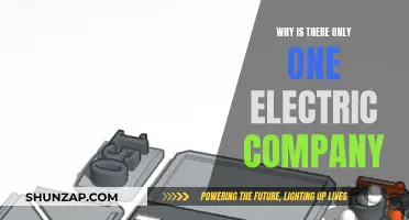 Electric Company Monopoly: Why Only One Provider?
