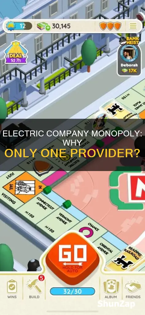 why is there only one electric company