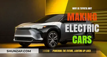 Why Toyota Hesitates to Fully Embrace Electric Vehicles