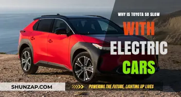 Toyota's Electric Vehicle Hesitation: Strategic Caution or Missed Opportunity?