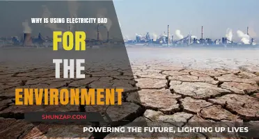 Electricity's Environmental Impact: Uncovering the Hidden Costs of Power