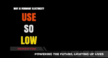 Vermont's Energy Efficiency: Unraveling the State's Low Electricity Consumption