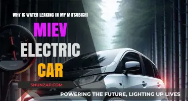 Mitsubishi i-MiEV Water Leak: Causes and Solutions Explained