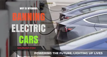 Wyoming's Electric Car Ban: Unraveling the Reasons Behind the Decision