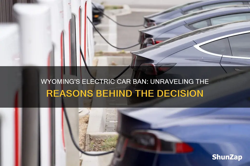 why is wyoming banning electric cars
