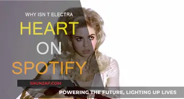 Electra Heart: Spotify's Missing Album Mystery