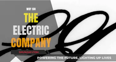 Electric Company: Why It's Not Your Usual Energy Provider