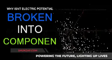 Electric Potential: Why No Components?