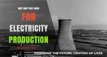 Why Peat is Overlooked in Electricity Production: Key Factors Explained