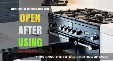 Why Leaving Your Electric Oven Door Open Post-Use Matters