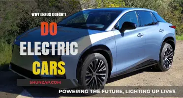 Why Lexus Hesitates to Embrace Electric Vehicles: A Strategic Analysis