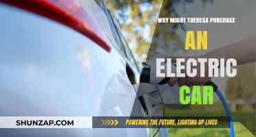 Why Theresa Chooses Electric: Benefits Driving Her Car Purchase Decision