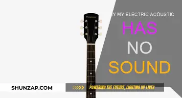 Troubleshooting Electric Acoustic Guitar: No Sound