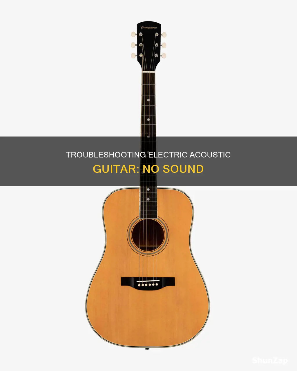 why my electric acoustic has no sound