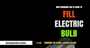 Why Nitrogen Gas is Essential for Electric Bulb Longevity