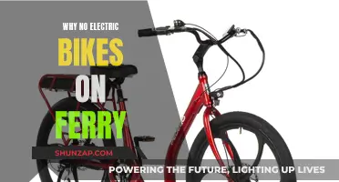 Electric Bike Ban: Ferries' Safety Concern?