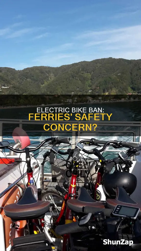 why no electric bikes on ferry