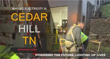 Blackout in Cedar Hill, TN: What Happened?