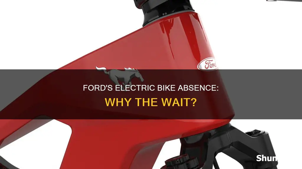 why no ford electric bikes