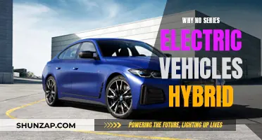 Electric Vehicles: Why Hybrid Series Are Not an Option