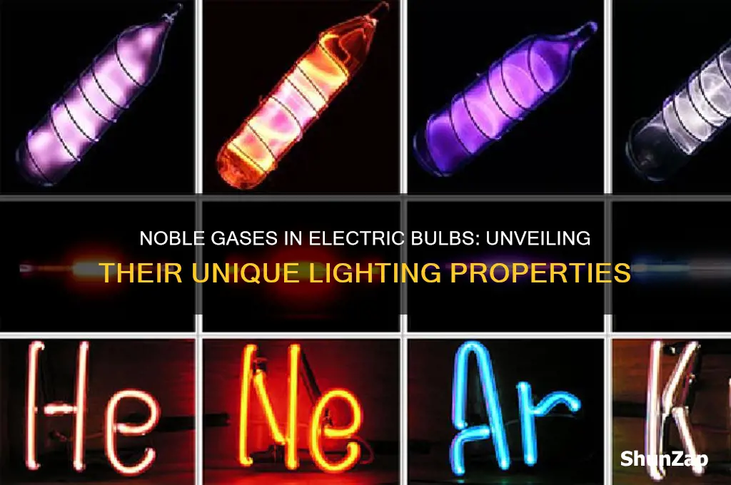 why noble gases are used in electric bulbs