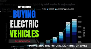 Electric Vehicle Sales Slow: Why the Market Stalls